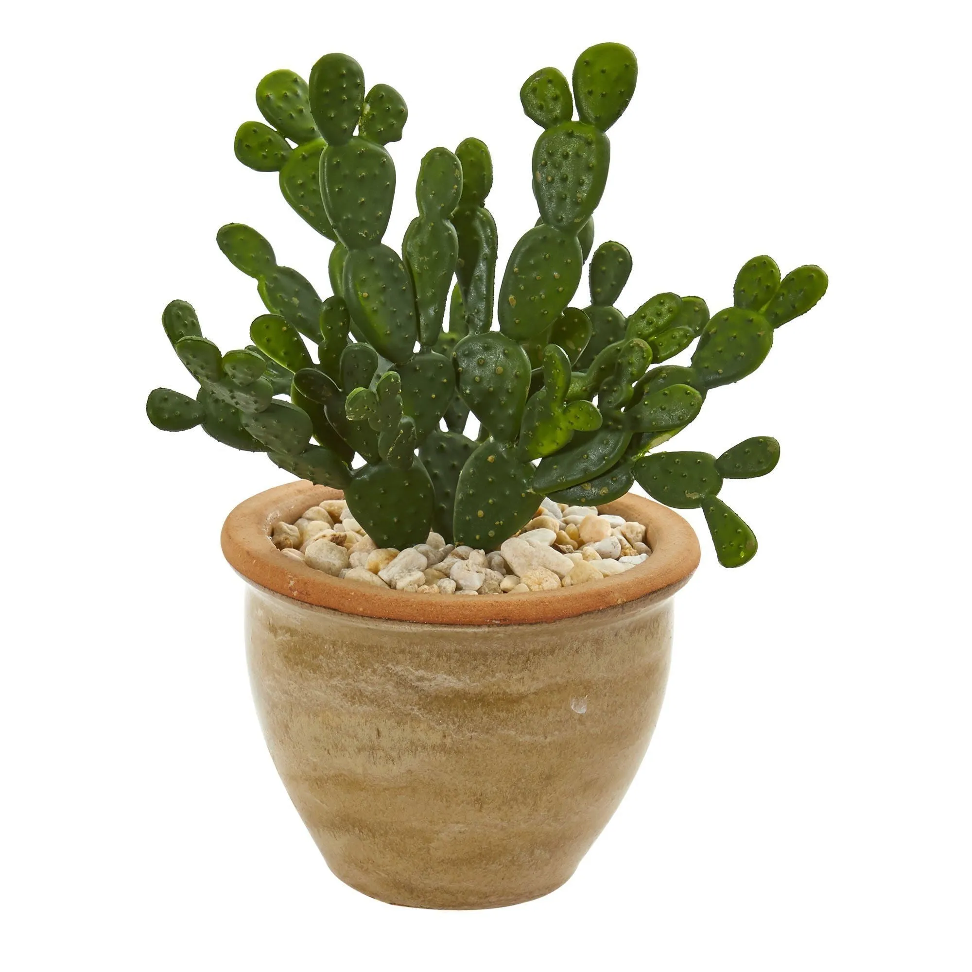 Aloe and Cactus Succulent Artificial Plant (Set of 2)