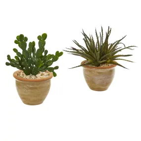 Aloe and Cactus Succulent Artificial Plant (Set of 2)