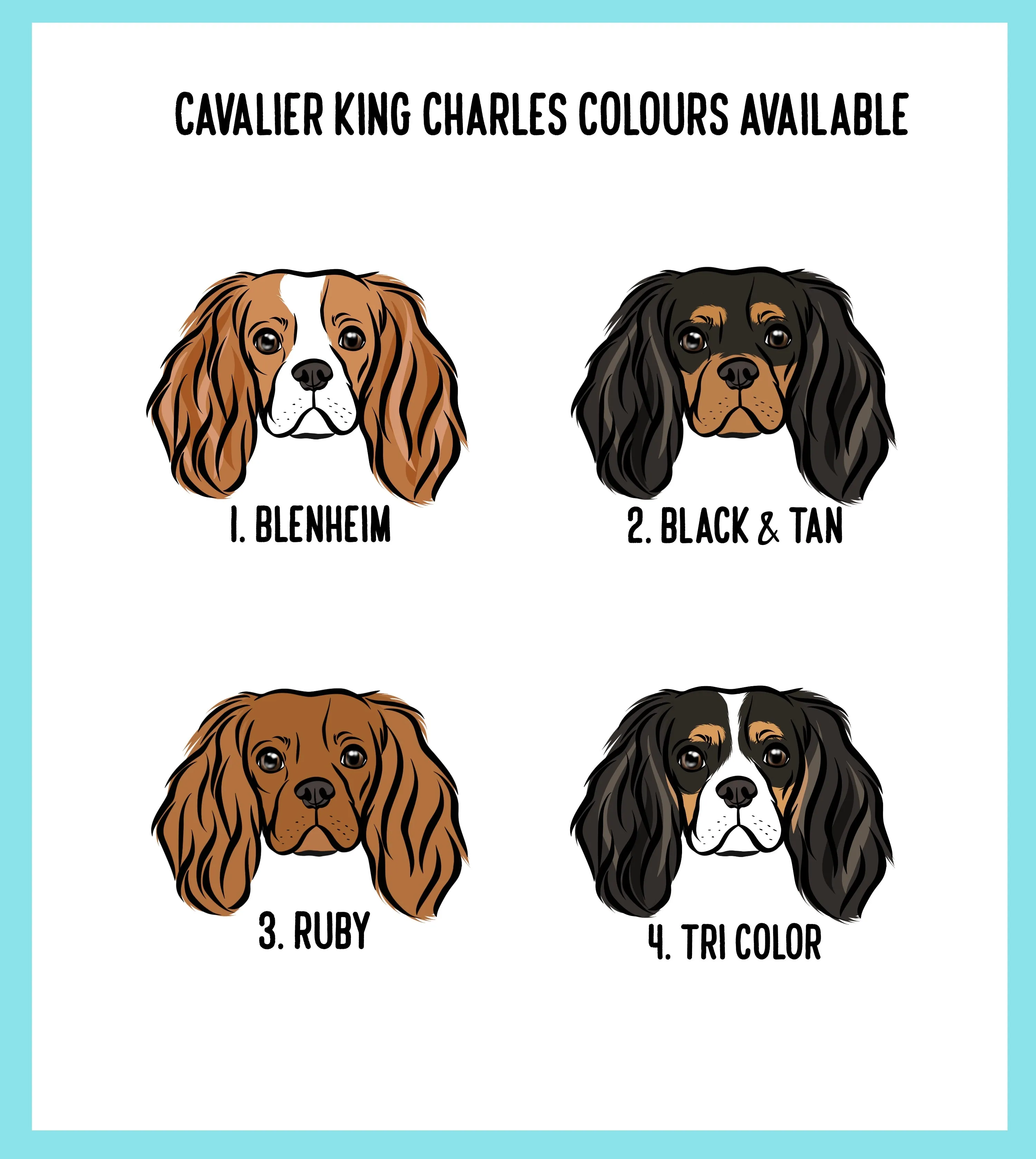 Cavalier King Charles Spaniel Sweatshirt