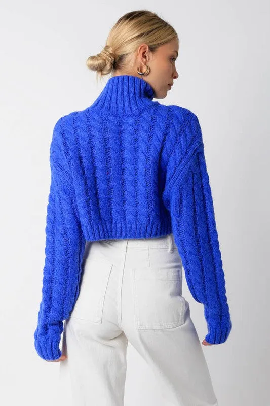 Royal Cropped Cable Knit Turtleneck Sweater