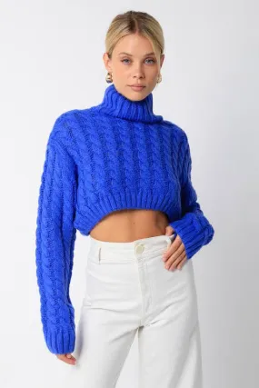 Royal Cropped Cable Knit Turtleneck Sweater