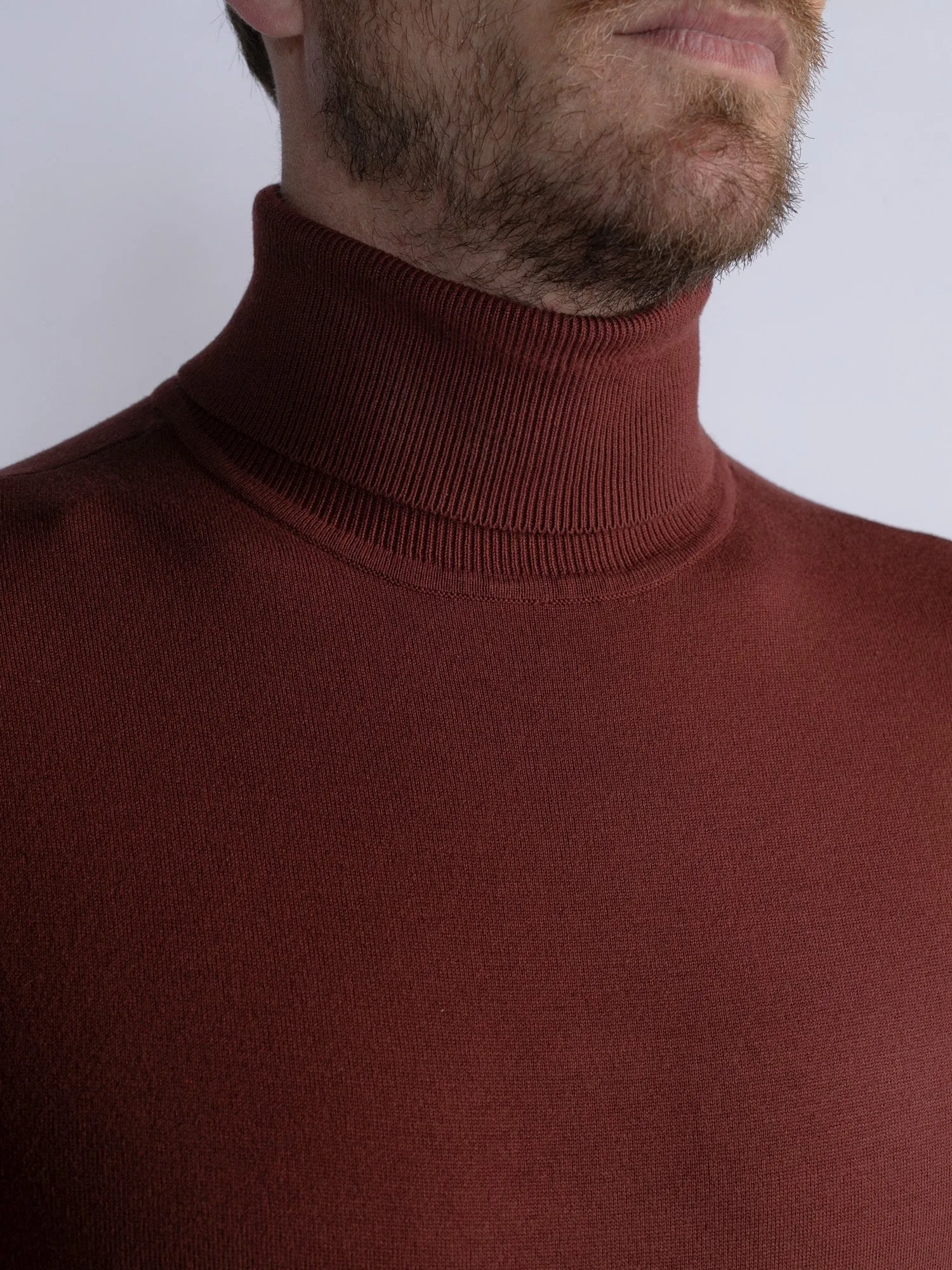 Turtleneck Wilmette