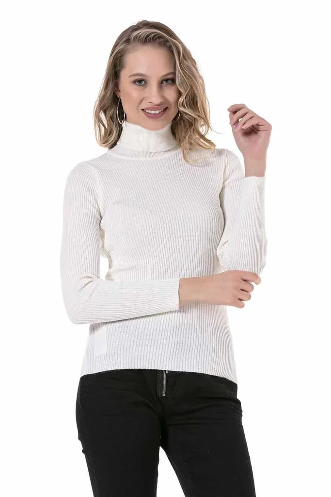 WP227 Women's Turtleneck Sweater